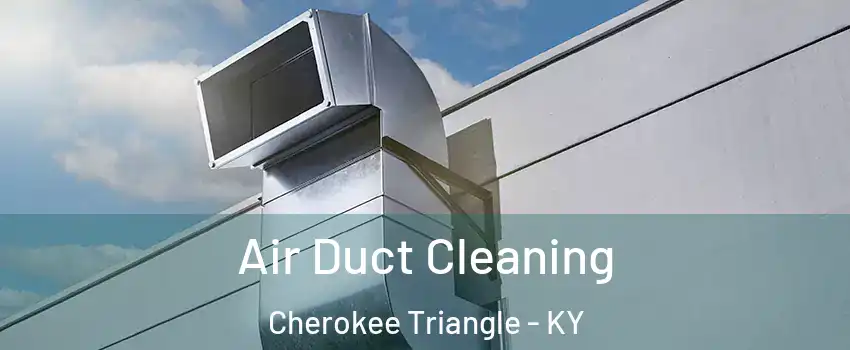 Air Duct Cleaning Cherokee Triangle - KY