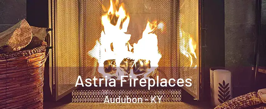 Astria Fireplaces Audubon - KY