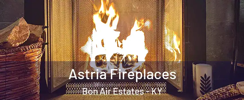 Astria Fireplaces Bon Air Estates - KY