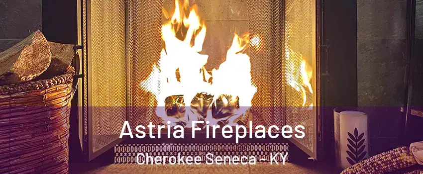 Astria Fireplaces Cherokee Seneca - KY