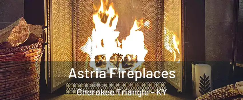 Astria Fireplaces Cherokee Triangle - KY