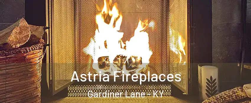 Astria Fireplaces Gardiner Lane - KY