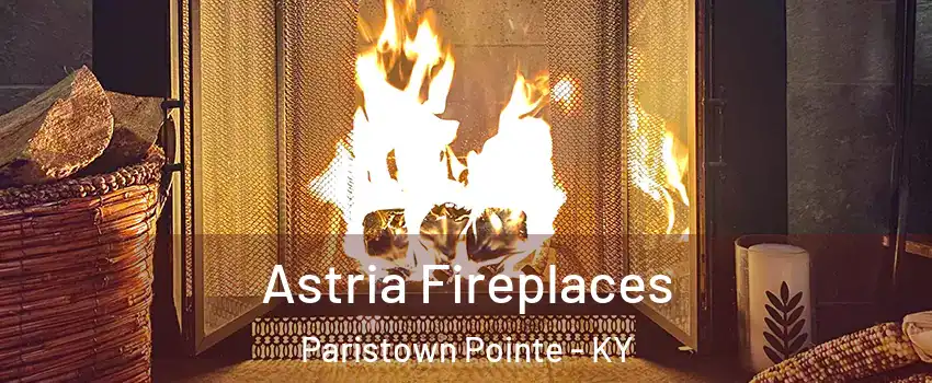 Astria Fireplaces Paristown Pointe - KY