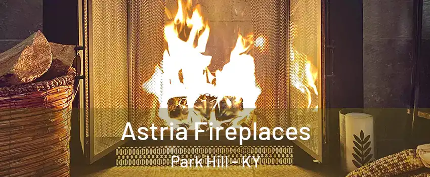 Astria Fireplaces Park Hill - KY