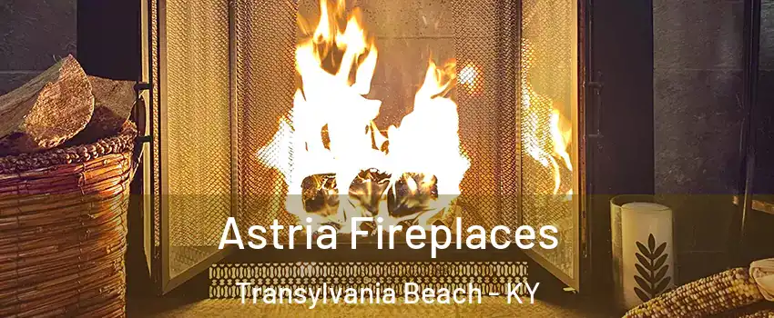 Astria Fireplaces Transylvania Beach - KY