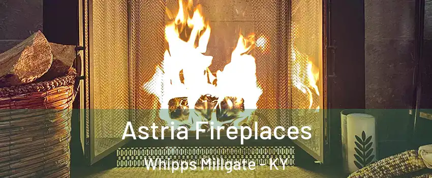 Astria Fireplaces Whipps Millgate - KY