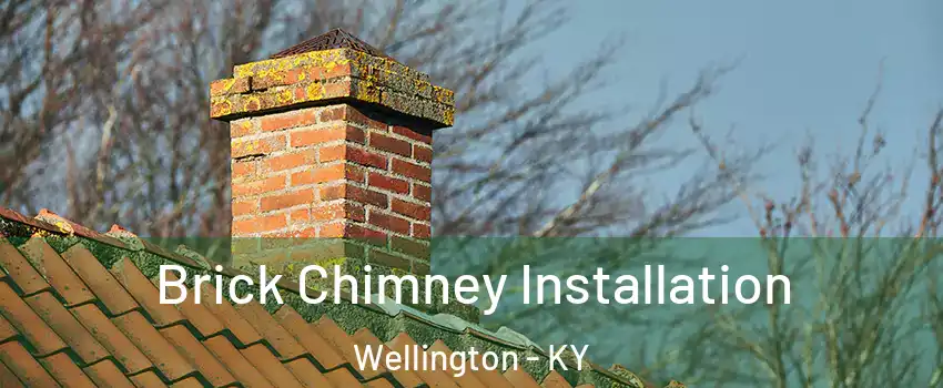 Brick Chimney Installation Wellington - KY