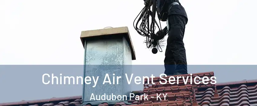 Chimney Air Vent Services Audubon Park - KY