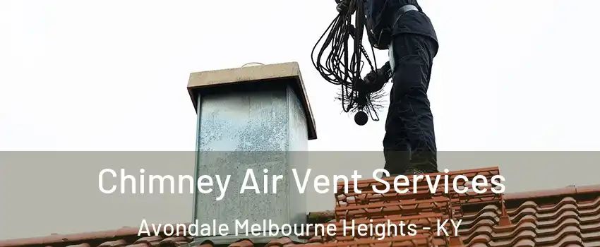 Chimney Air Vent Services Avondale Melbourne Heights - KY