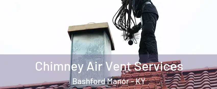 Chimney Air Vent Services Bashford Manor - KY