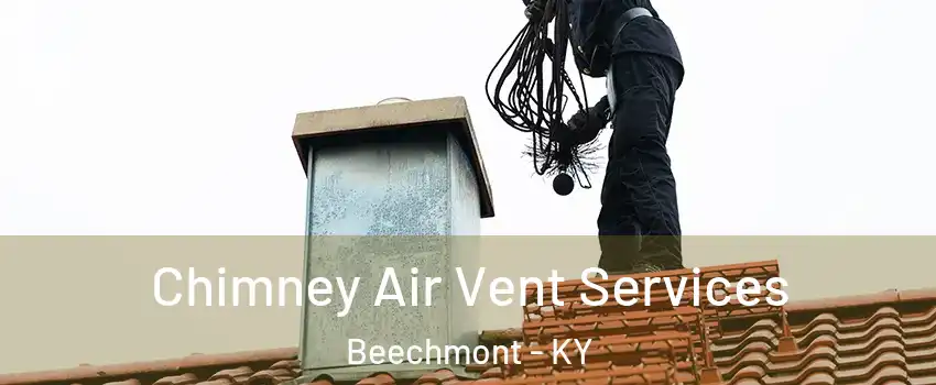 Chimney Air Vent Services Beechmont - KY