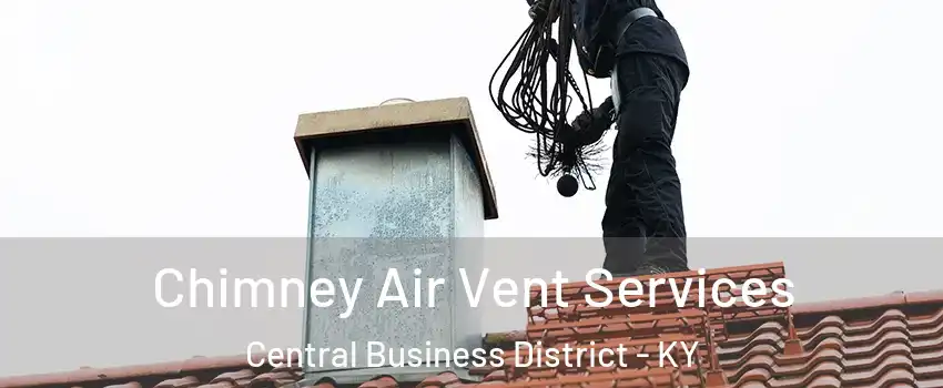 Chimney Air Vent Services Central Business District - KY