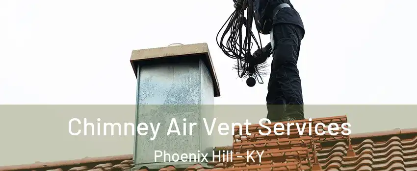 Chimney Air Vent Services Phoenix Hill - KY