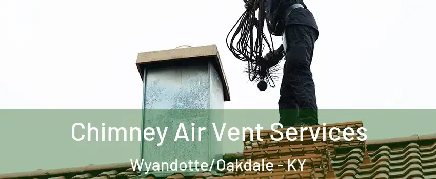 Chimney Air Vent Services Wyandotte/Oakdale - KY