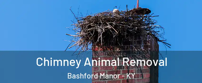 Chimney Animal Removal Bashford Manor - KY