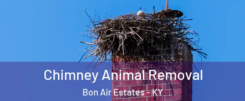 Chimney Animal Removal Bon Air Estates - KY