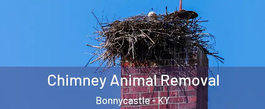 Chimney Animal Removal Bonnycastle - KY