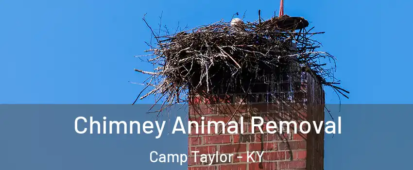 Chimney Animal Removal Camp Taylor - KY