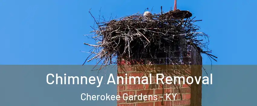 Chimney Animal Removal Cherokee Gardens - KY