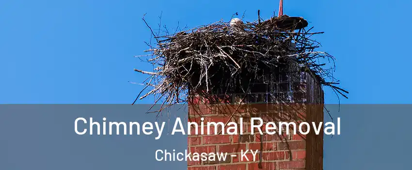 Chimney Animal Removal Chickasaw - KY