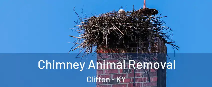 Chimney Animal Removal Clifton - KY