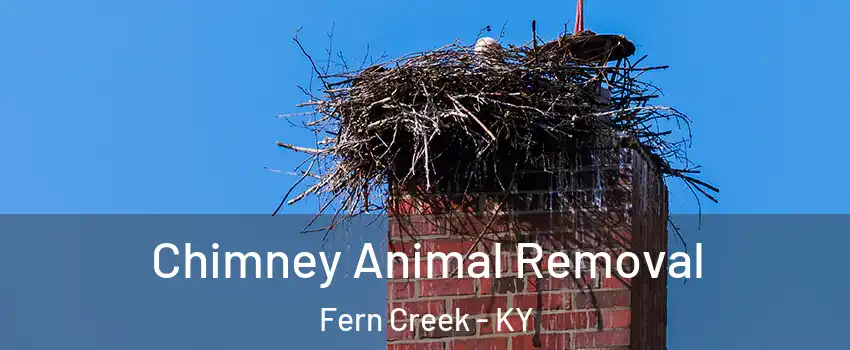 Chimney Animal Removal Fern Creek - KY