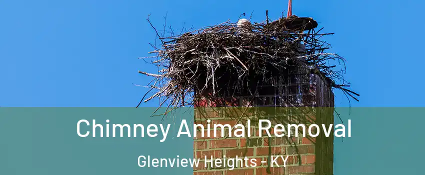 Chimney Animal Removal Glenview Heights - KY