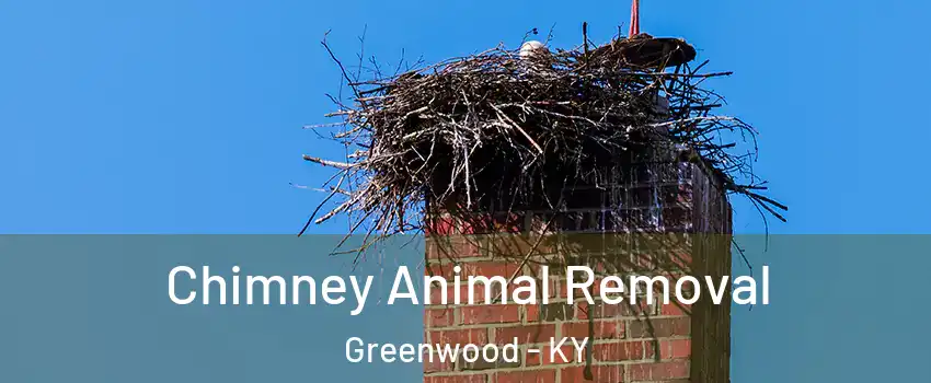 Chimney Animal Removal Greenwood - KY