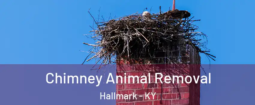 Chimney Animal Removal Hallmark - KY