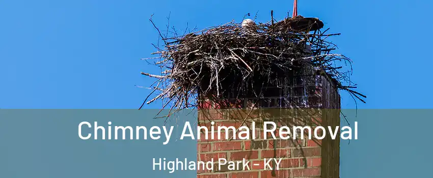 Chimney Animal Removal Highland Park - KY