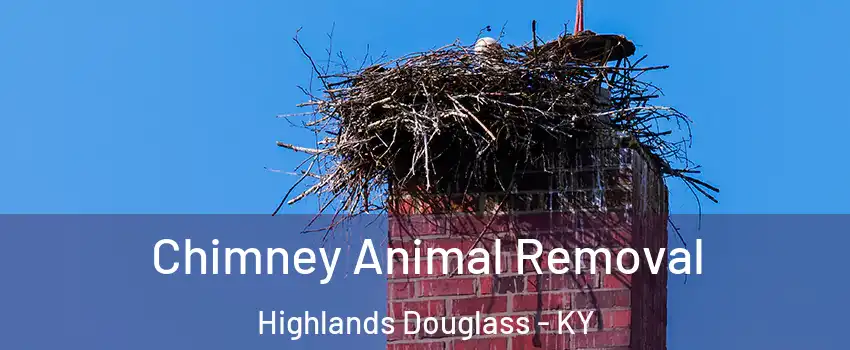 Chimney Animal Removal Highlands Douglass - KY