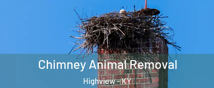 Chimney Animal Removal Highview - KY