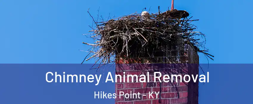 Chimney Animal Removal Hikes Point - KY