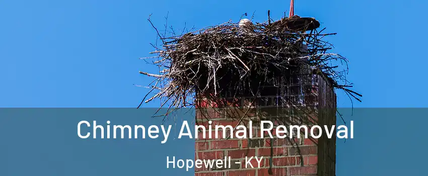 Chimney Animal Removal Hopewell - KY