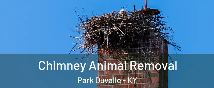 Chimney Animal Removal Park Duvalle - KY