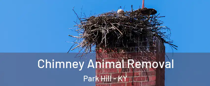 Chimney Animal Removal Park Hill - KY