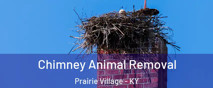 Chimney Animal Removal Prairie Village - KY