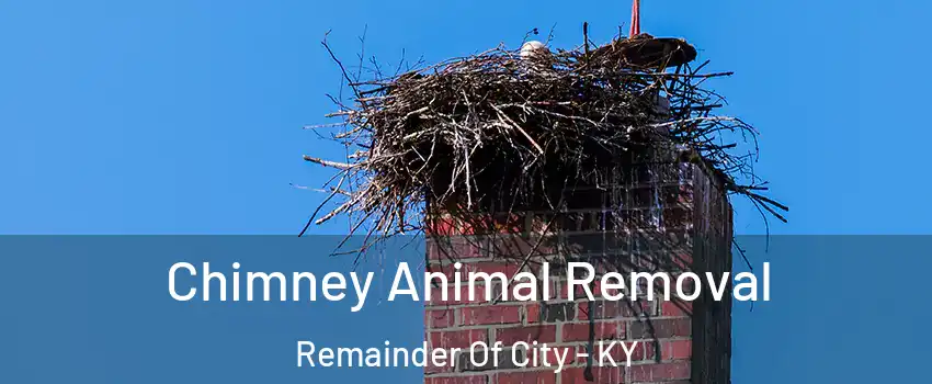 Chimney Animal Removal Remainder Of City - KY