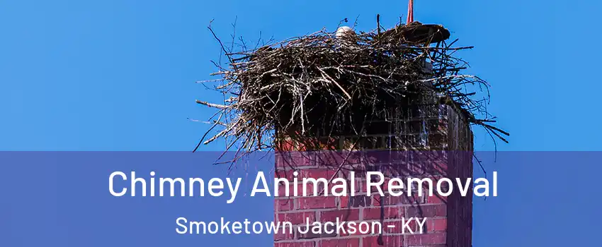 Chimney Animal Removal Smoketown Jackson - KY