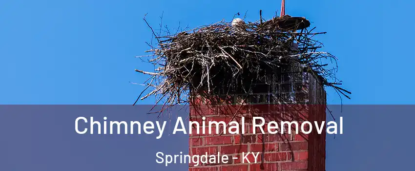 Chimney Animal Removal Springdale - KY