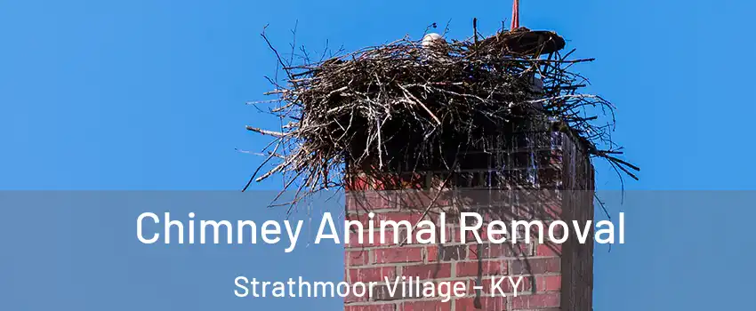 Chimney Animal Removal Strathmoor Village - KY