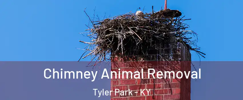 Chimney Animal Removal Tyler Park - KY