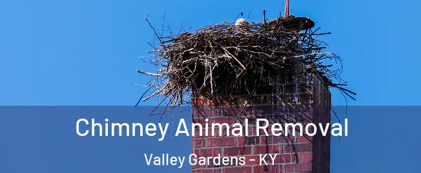 Chimney Animal Removal Valley Gardens - KY