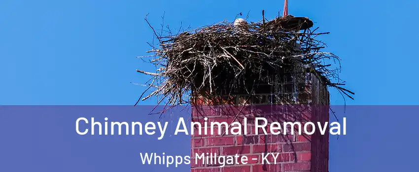 Chimney Animal Removal Whipps Millgate - KY