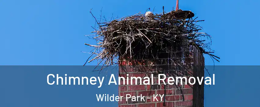 Chimney Animal Removal Wilder Park - KY