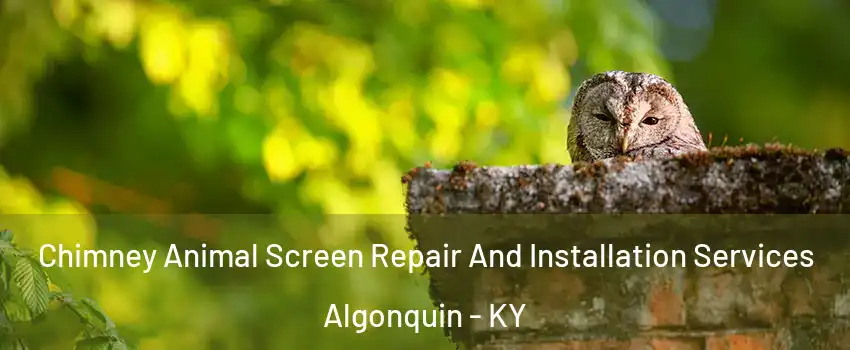 Chimney Animal Screen Repair And Installation Services Algonquin - KY