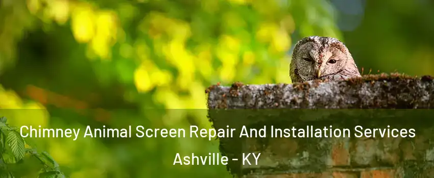 Chimney Animal Screen Repair And Installation Services Ashville - KY