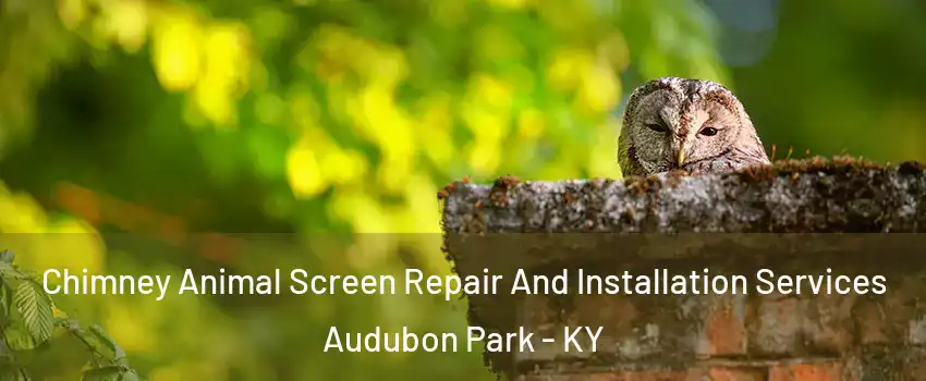 Chimney Animal Screen Repair And Installation Services Audubon Park - KY