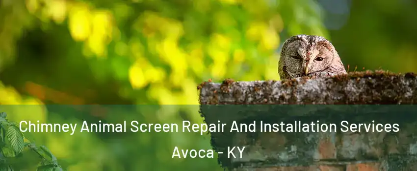 Chimney Animal Screen Repair And Installation Services Avoca - KY