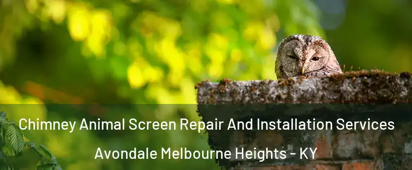 Chimney Animal Screen Repair And Installation Services Avondale Melbourne Heights - KY